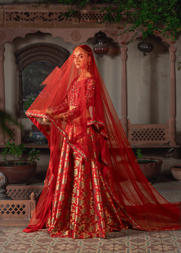 ANARKALI - Image 3