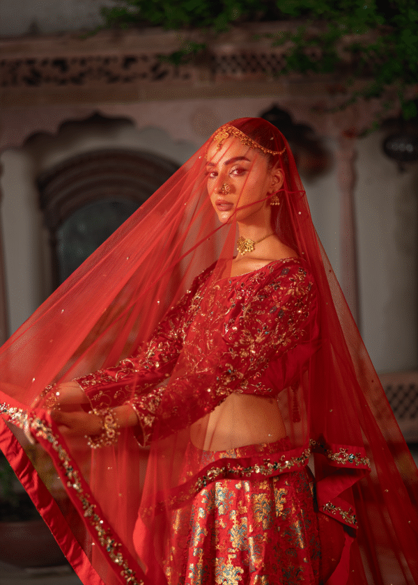 ANARKALI - Image 5