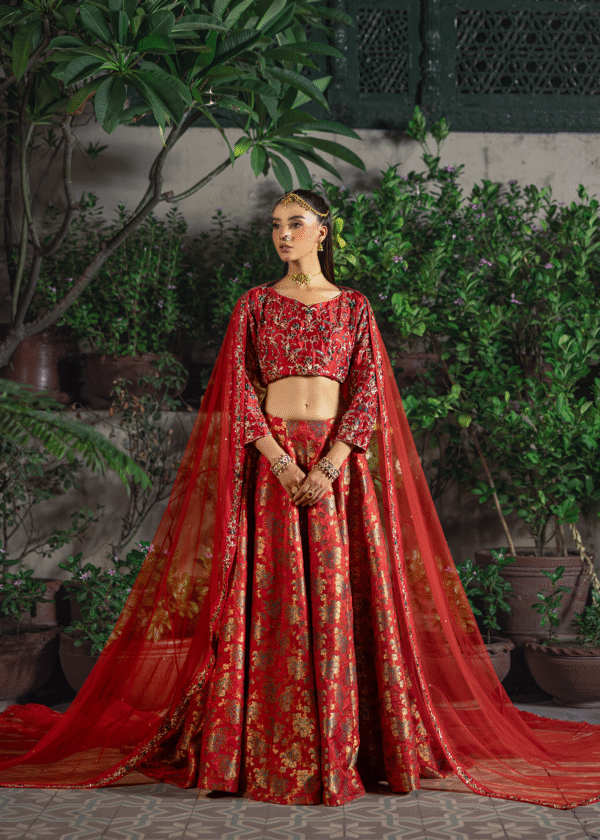 ANARKALI - Image 7